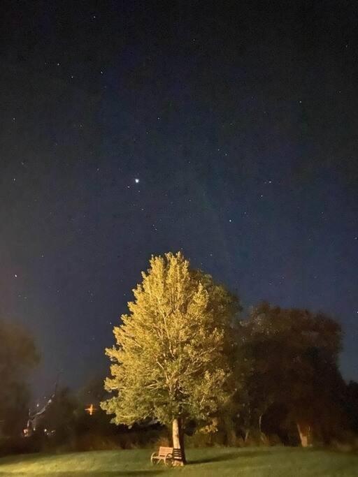 Holly Tree Retreat Located In Beautiful Luray, Va. Villa Luaran gambar