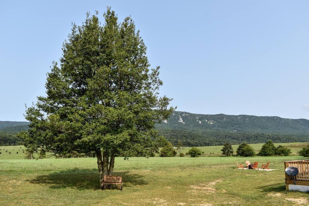 Holly Tree Retreat Located In Beautiful Luray, Va. Villa Luaran gambar