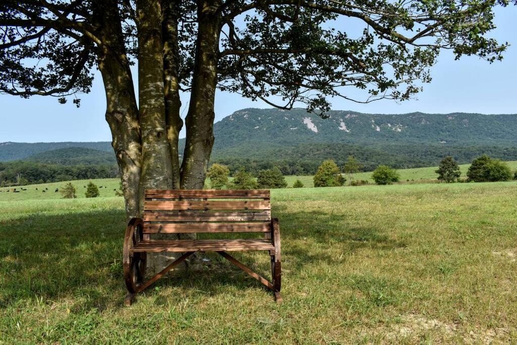 Holly Tree Retreat Located In Beautiful Luray, Va. Villa Luaran gambar