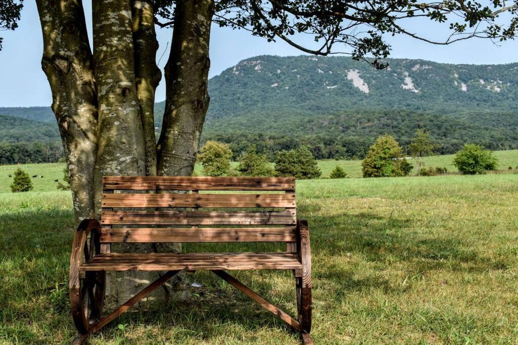 Holly Tree Retreat Located In Beautiful Luray, Va. Villa Luaran gambar
